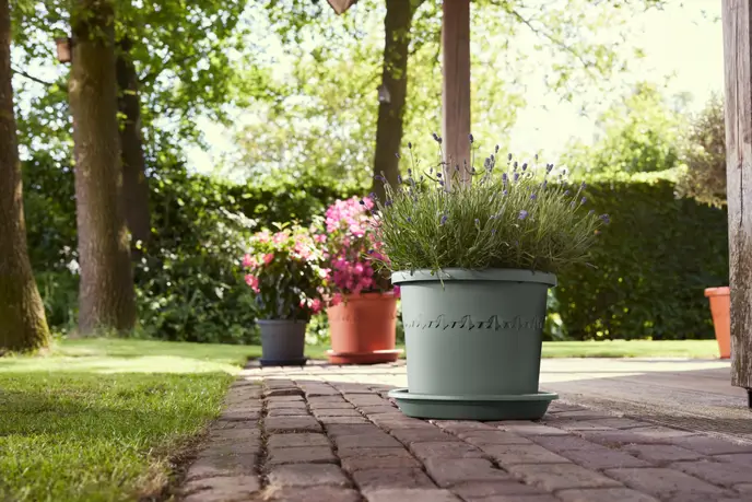 Algarve Cilindro 35cm Thyme Green - Image 3