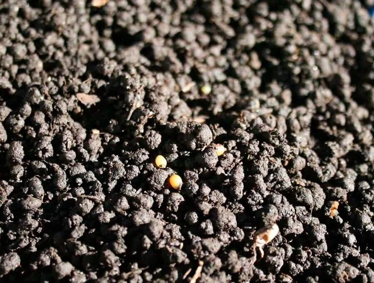 Arcadia Earth Mix (5 Litre) - Image 2