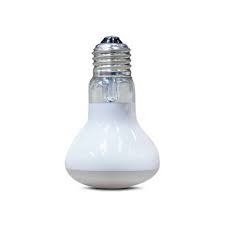 Arcadia Solar Basking Floodlight, 50 Watts - Image 2