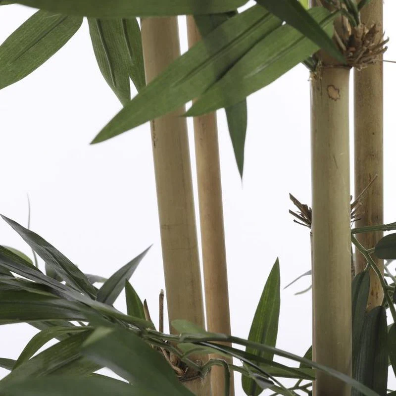 Artificial Bamboo Green in Synthetic Pot 200 x 100cm - Image 4