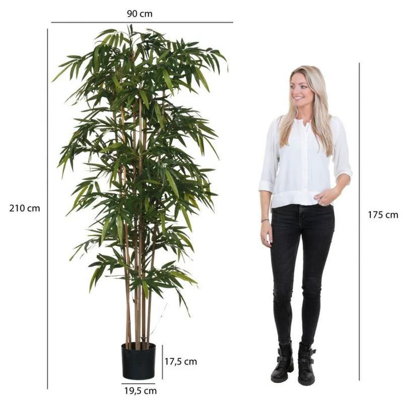 Artificial Bamboo Green in Synthetic Pot 200 x 100cm - Image 5