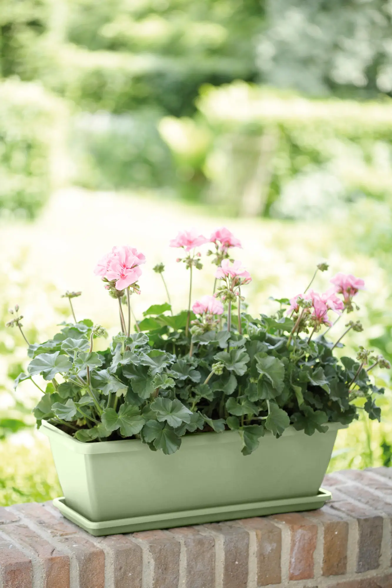 Elho Barcelona Trough 70cm Pistachio Green - Image 2