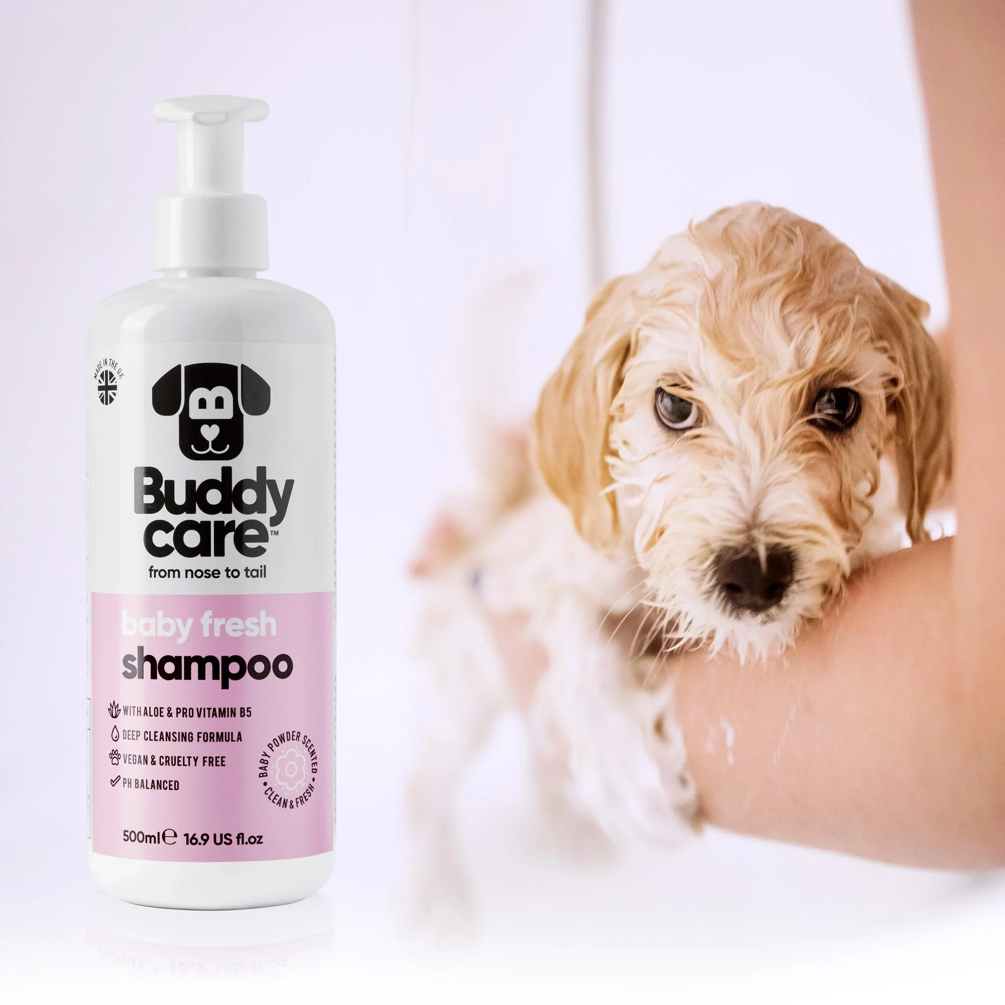 Buddycare Baby Fresh Dog Shampoo (500ml) - Image 3