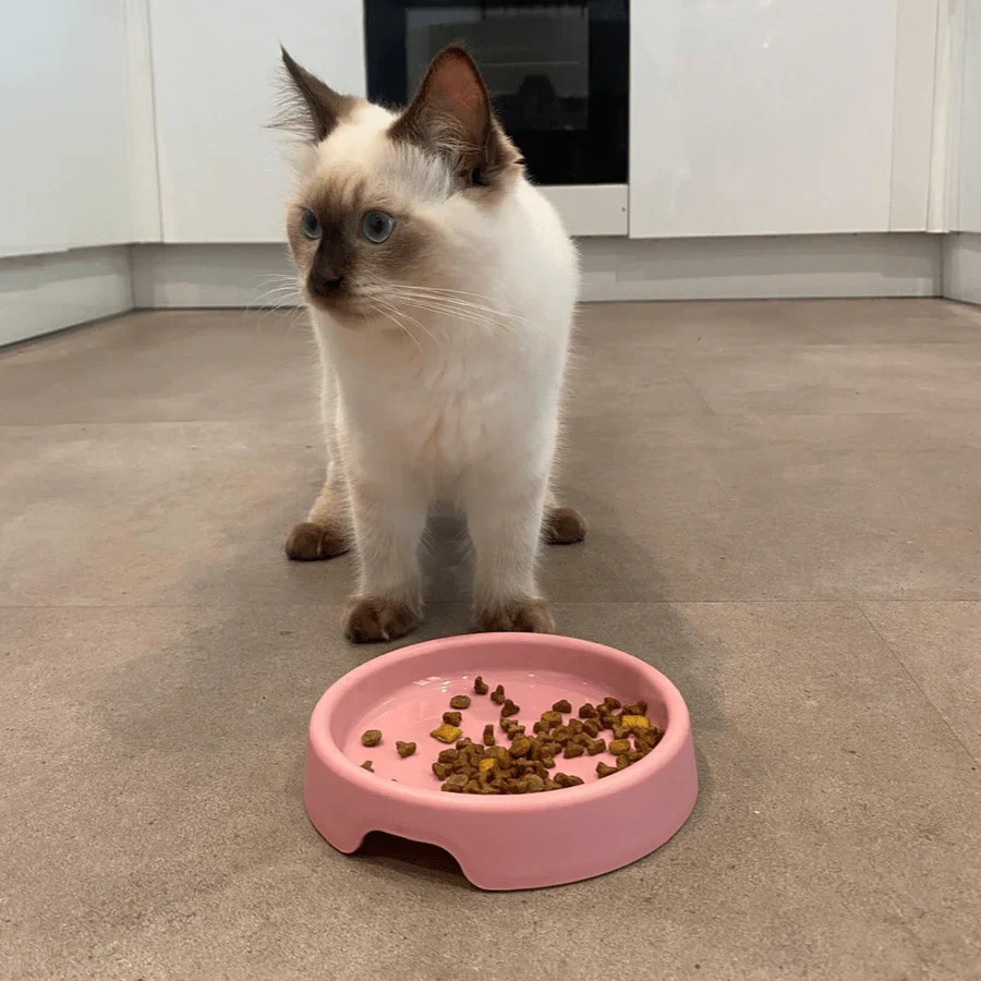 Beco Recycled Plastic Cat Bowl Pink - Image 3