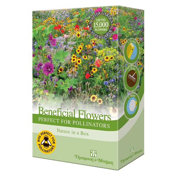 Thompson & Morgan Bee Friendly - Perfect For Pollinators Mix
