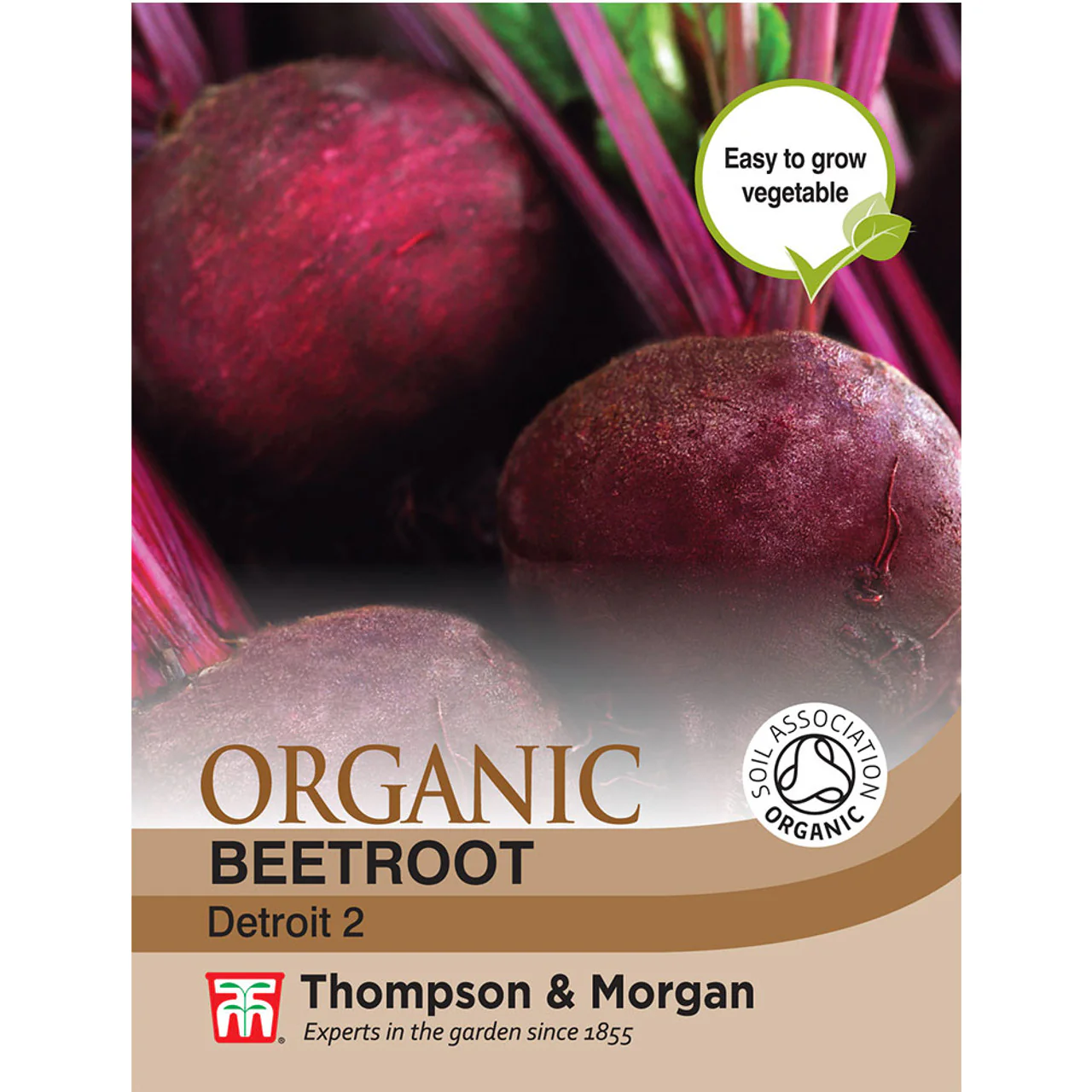 Beetroot Detroit 2 Organic