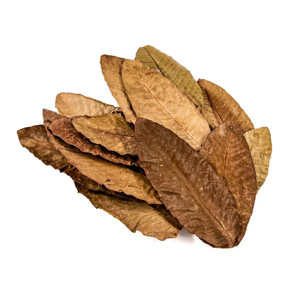 Betta Choice Guava Leaves XL x15