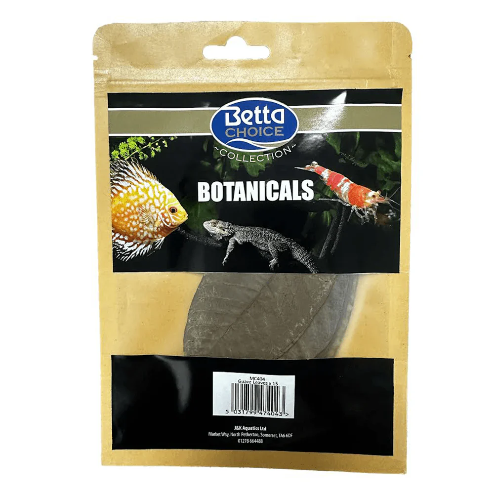 Betta Choice Guava Leaves XL x15 - Image 2