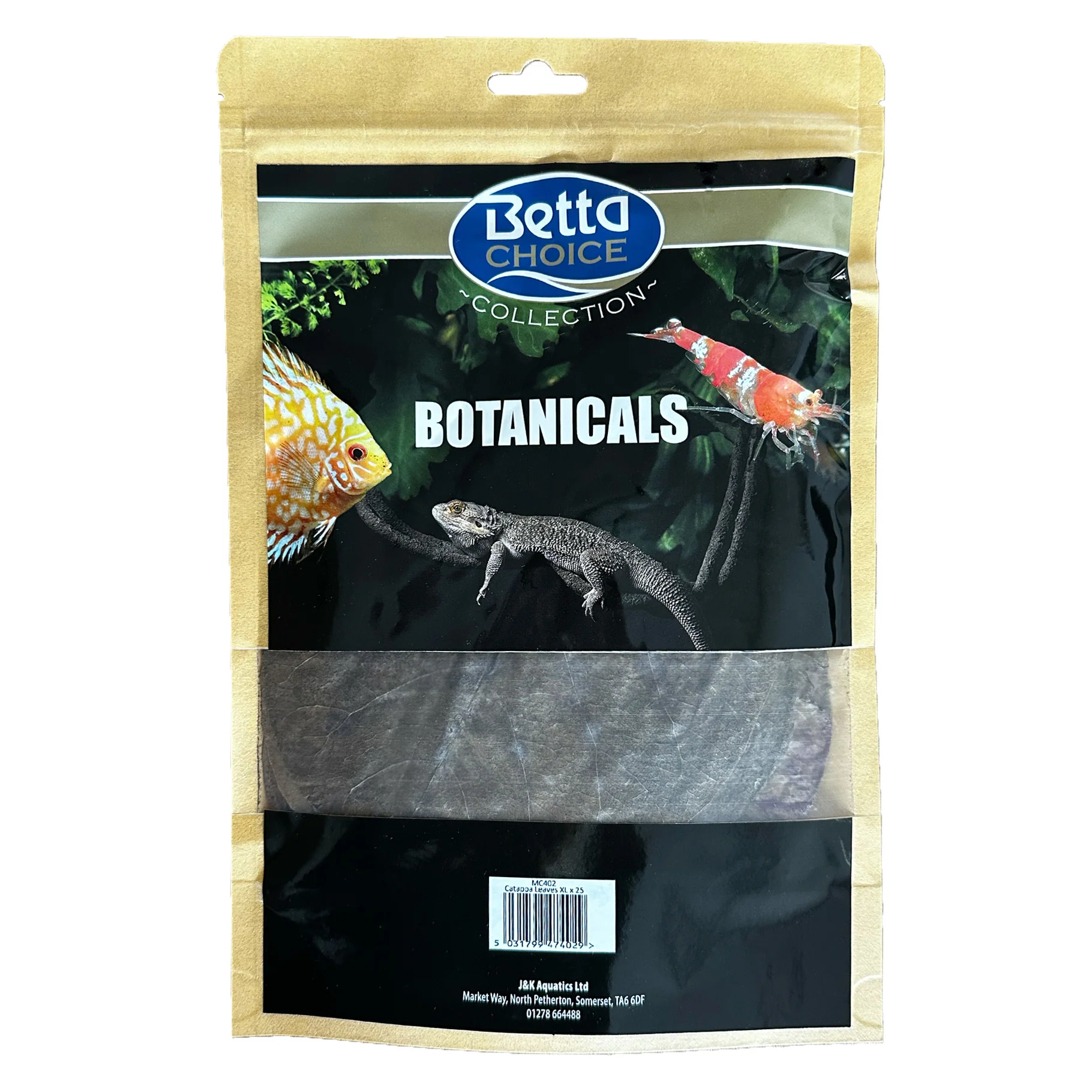 Betta Choise Catappa Leaves XL x25 - Image 2