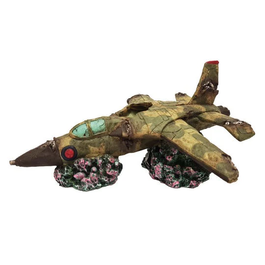 Betta Fighter Plane Wreck