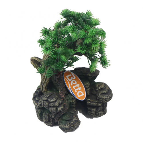 Betta Medium Bonsai with Plant