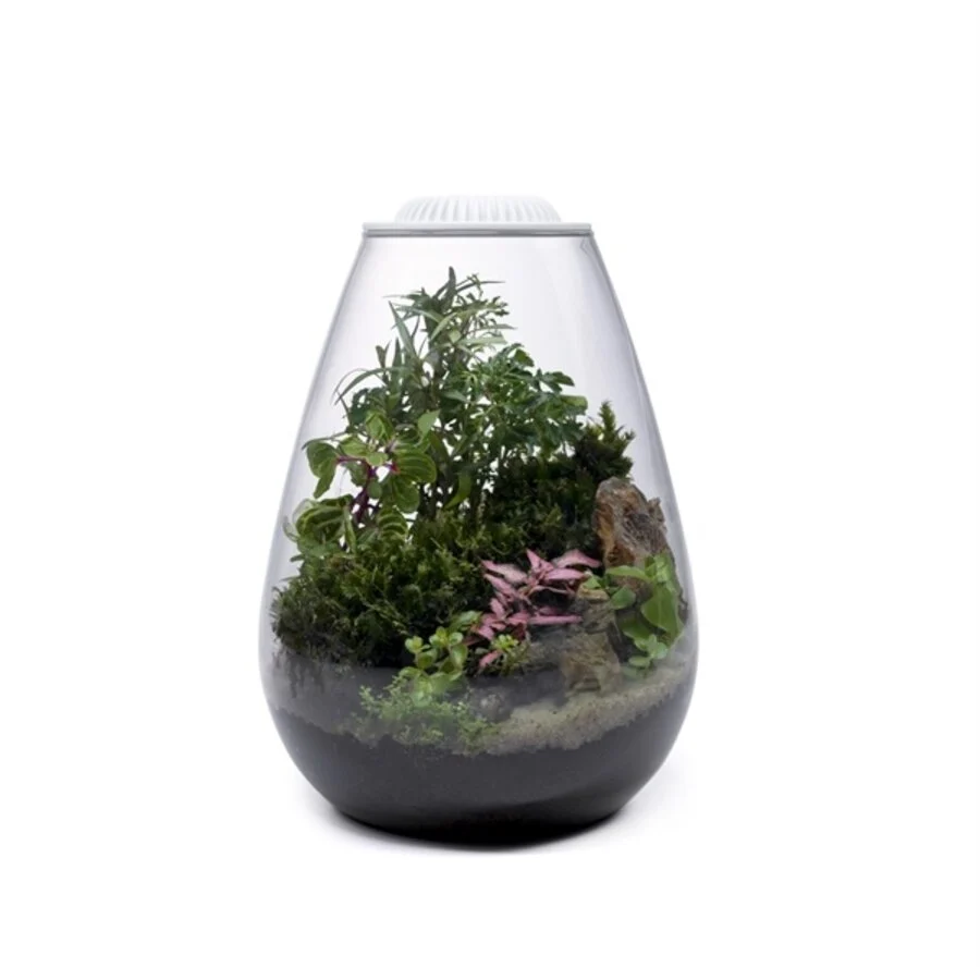 Bio Bowl 200 and Light White (26x20cm)