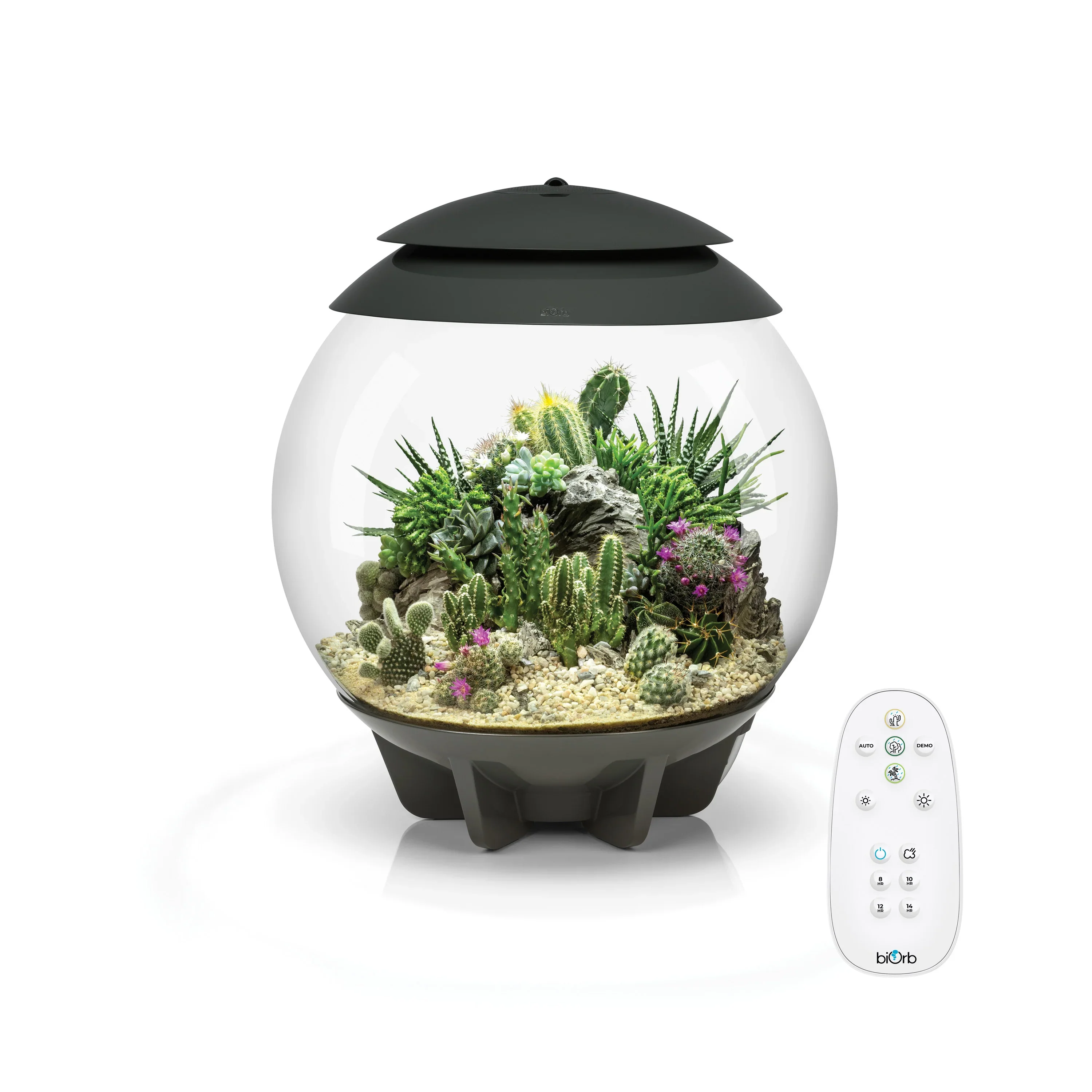 Biorb Air 30 Terrarium With Black Lid - Image 2