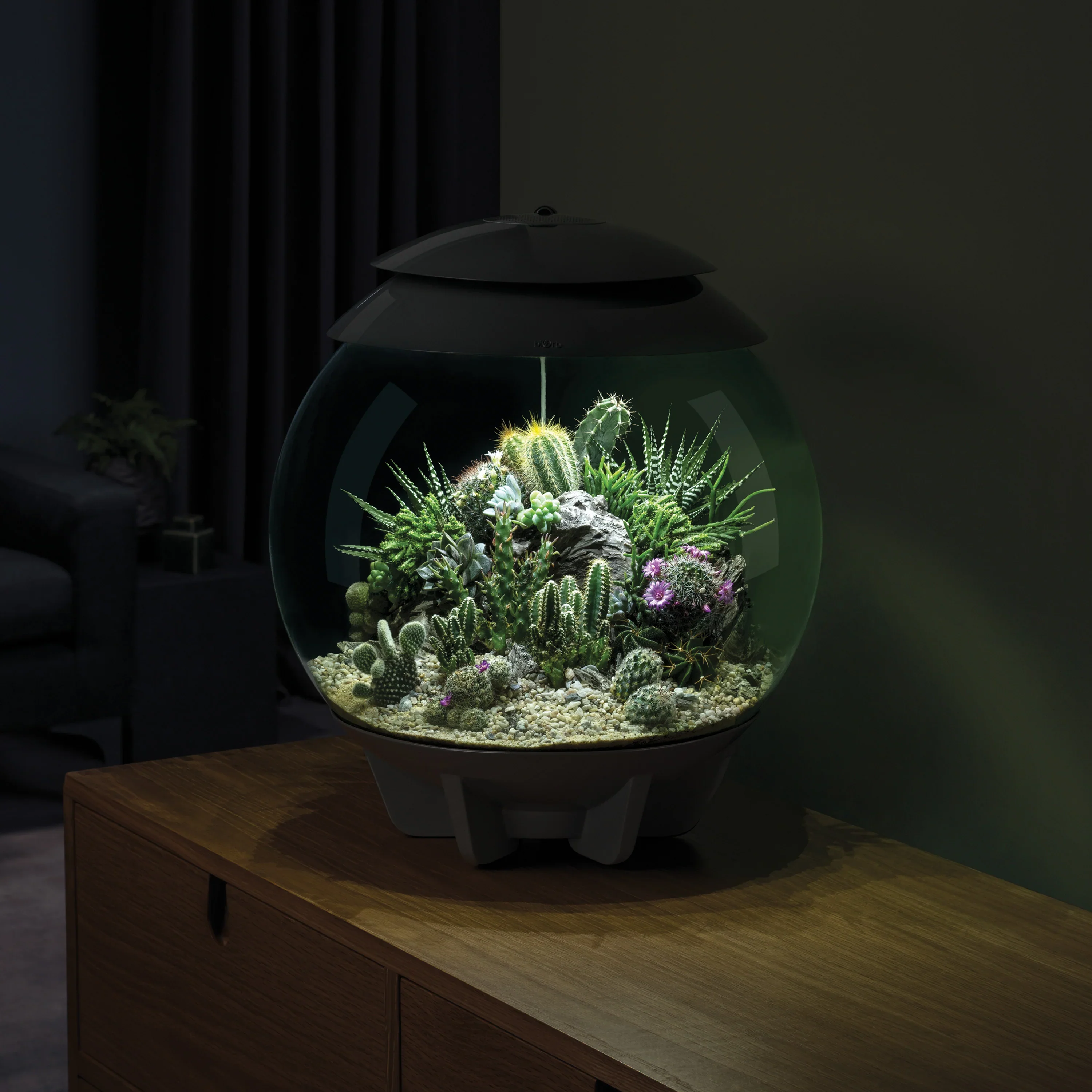 Biorb Air 30 Terrarium With Black Lid - Image 3