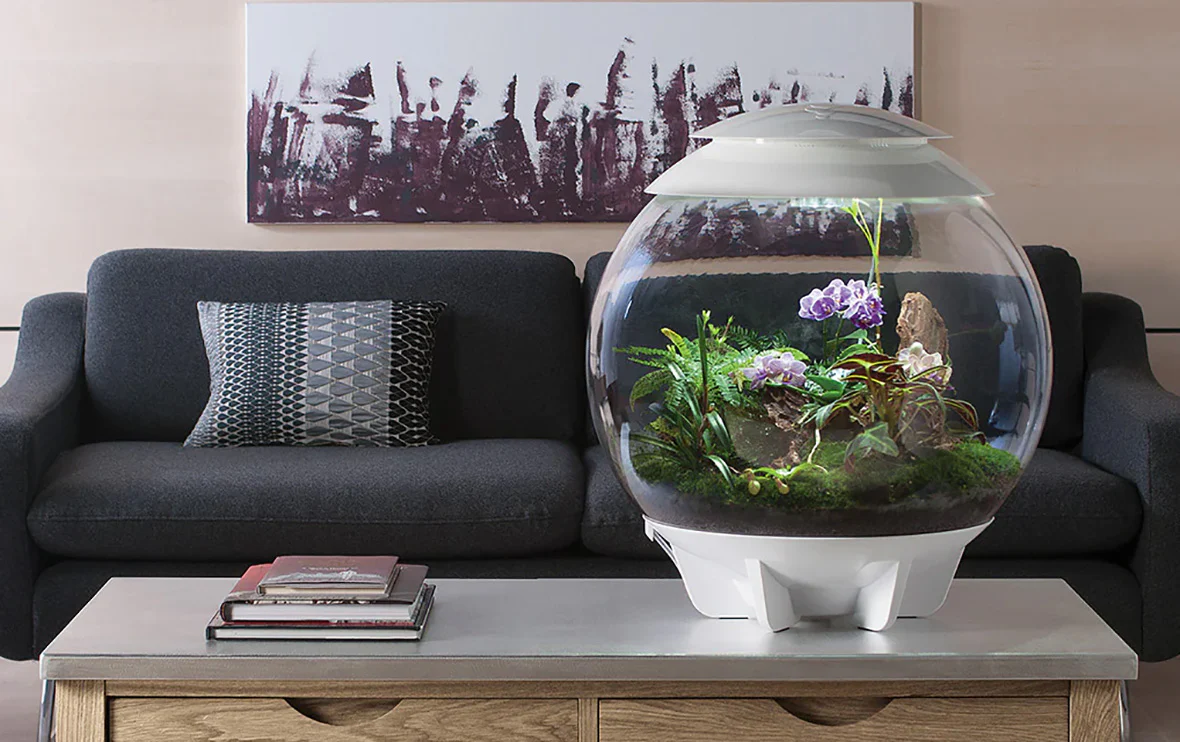 Biorb Air 60 Terrarium With Black Lid - Image 3