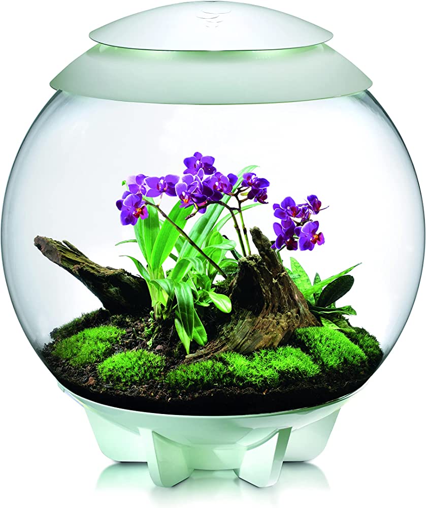 Biorb Air 60 Terrarium With Black Lid - Image 5