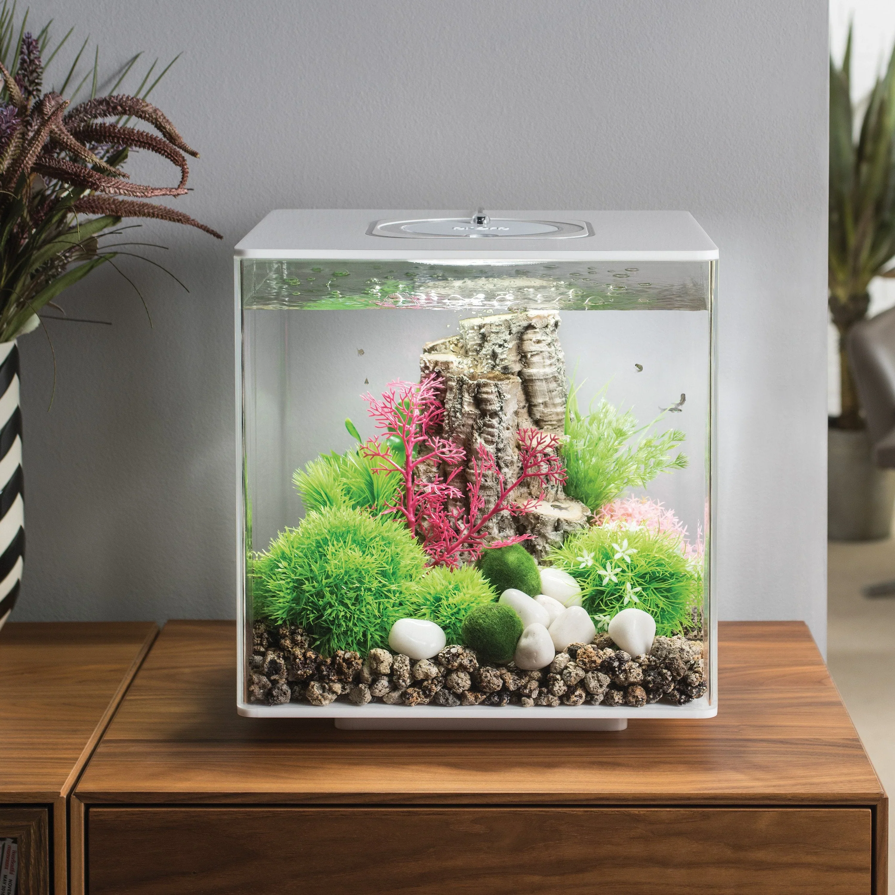 biOrb Aquatic Topiary Ball With Daisies - Image 3