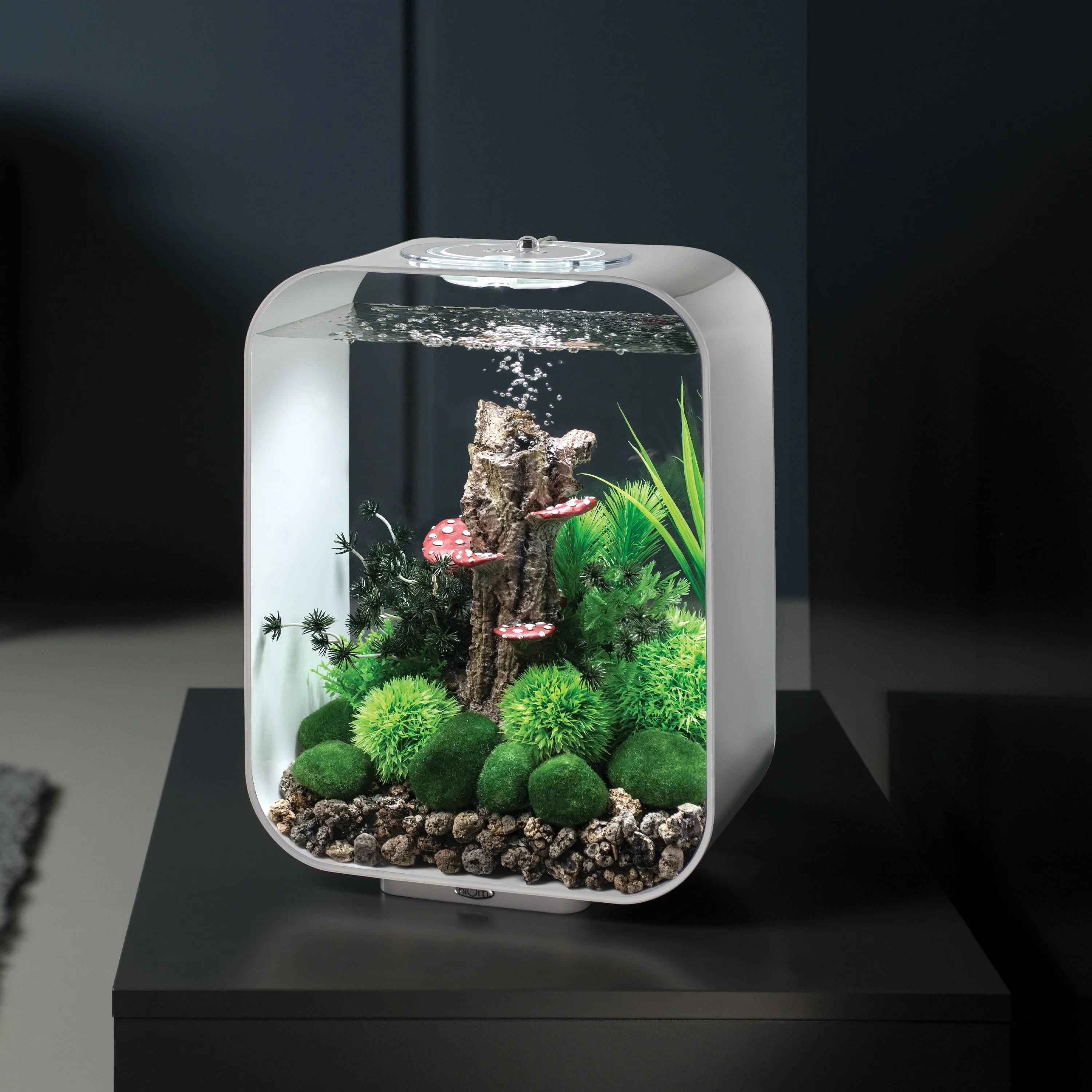 biOrb Aquatic Topiary Ball With Daisies - Image 4