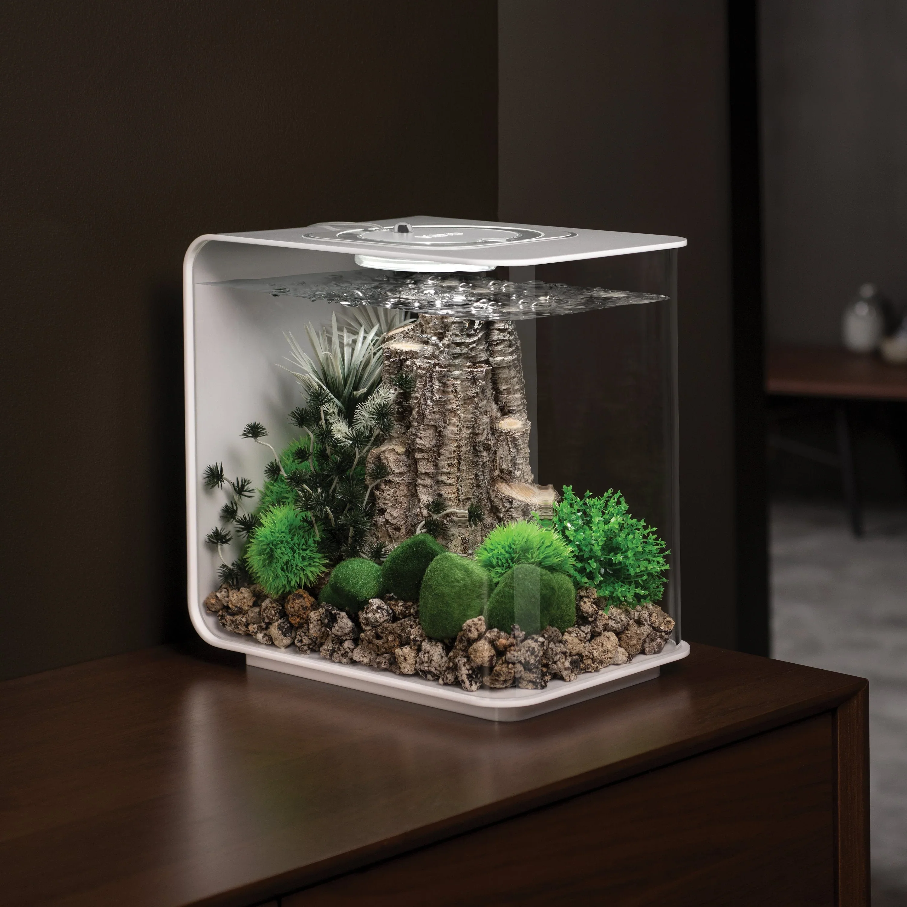 biOrb Aquatic Topiary Ball With Daisies - Image 5