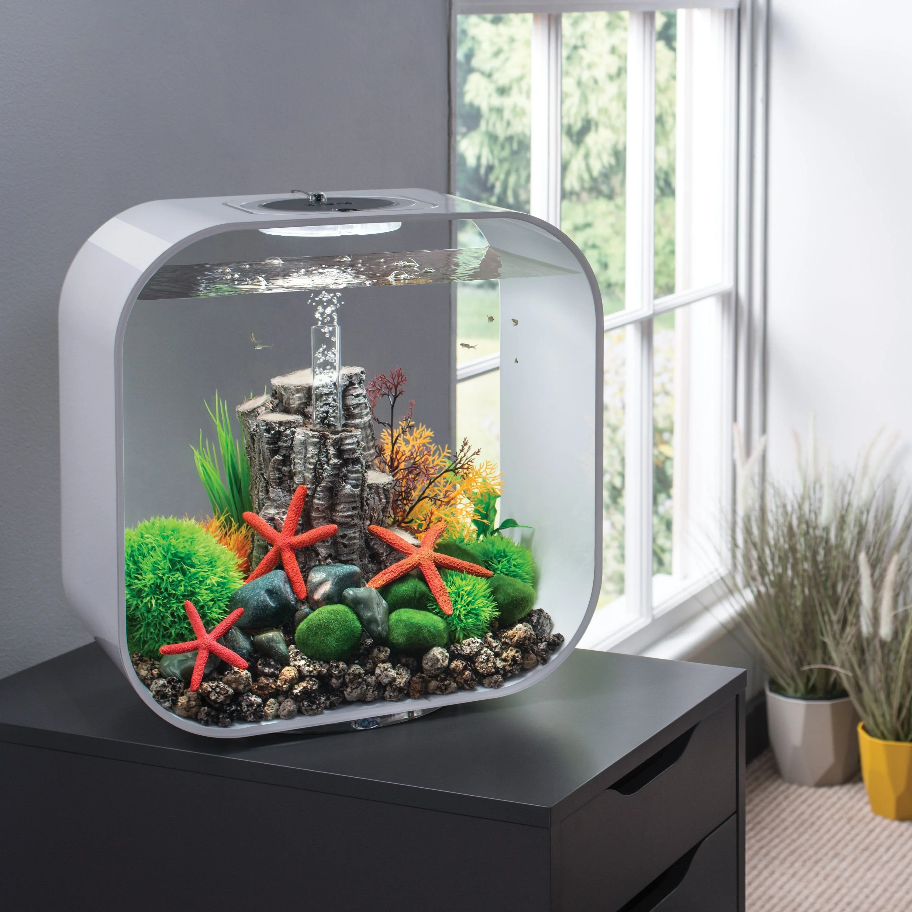 biOrb Aquatic Topiary Ball With Daisies - Image 6