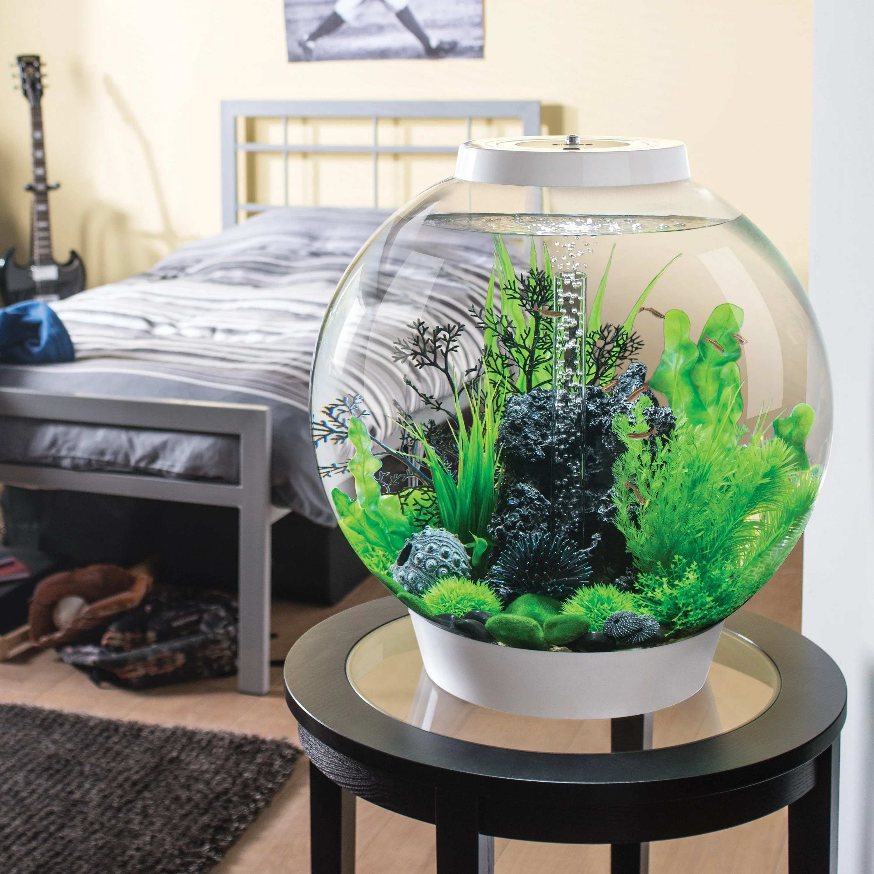 biOrb Aquatic Topiary Ball With Daisies - Image 7