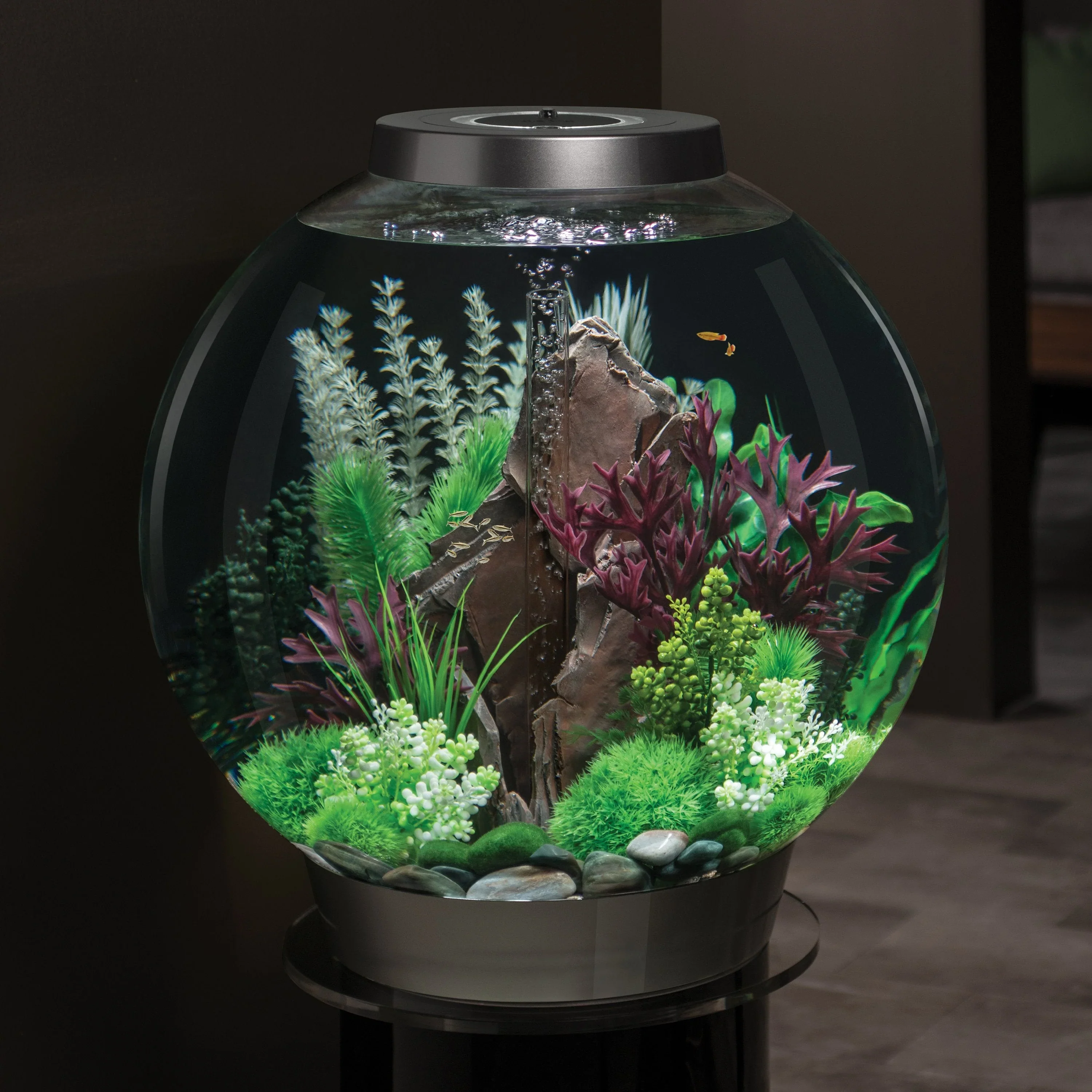 biOrb Aquatic Topiary Ball With Daisies - Image 8