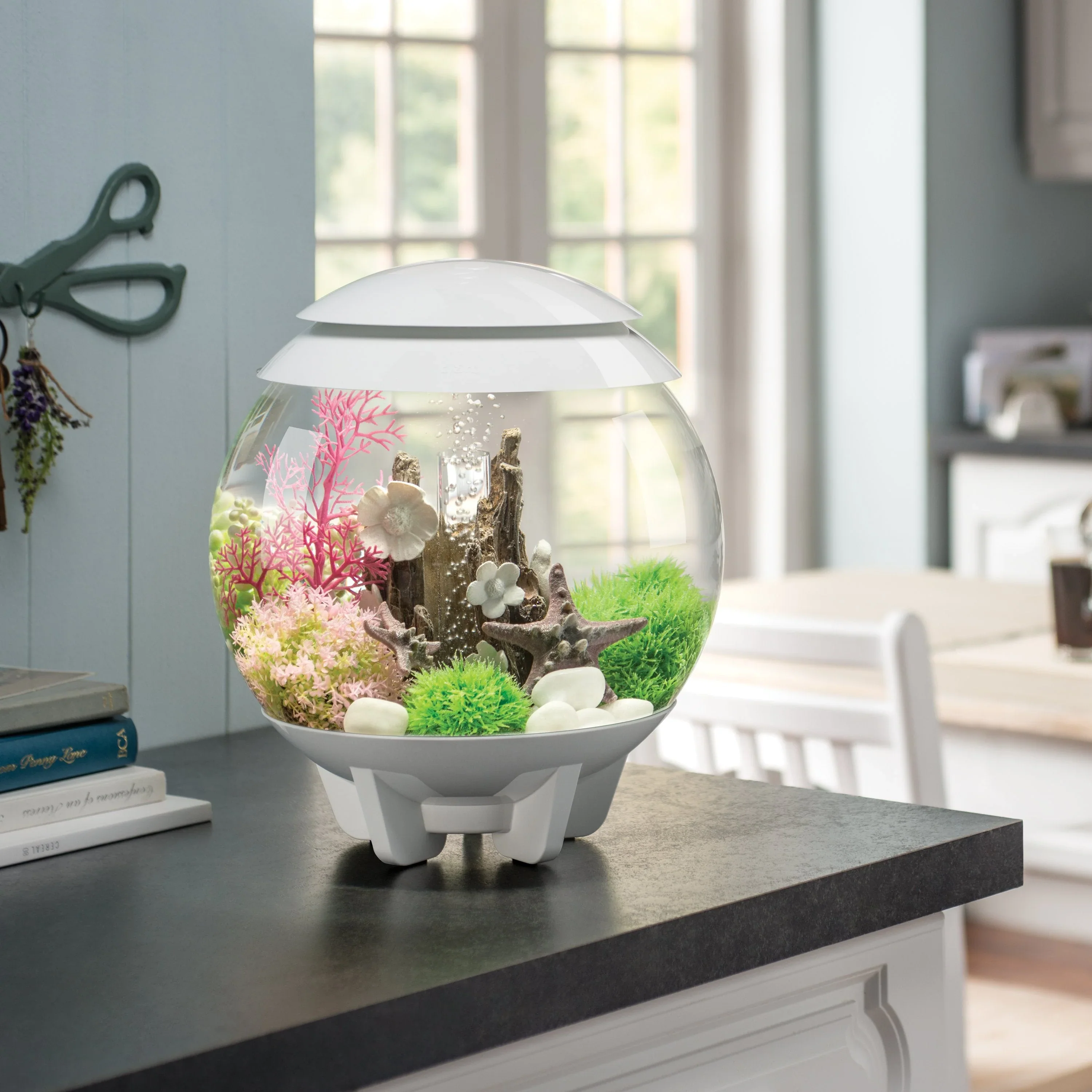 biOrb Aquatic Topiary Ball With Daisies - Image 9