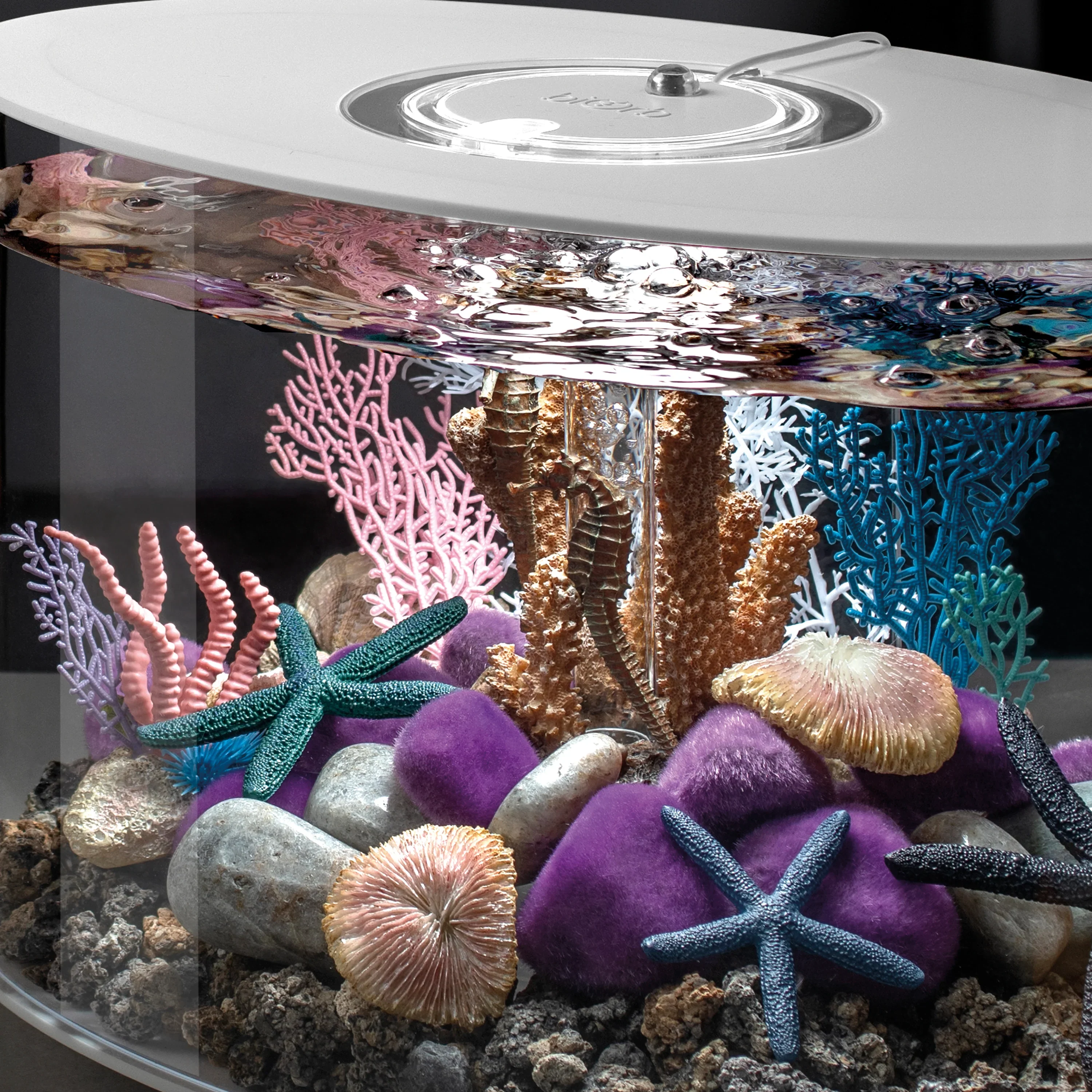 BiOrb coral fans & shells set - Image 6