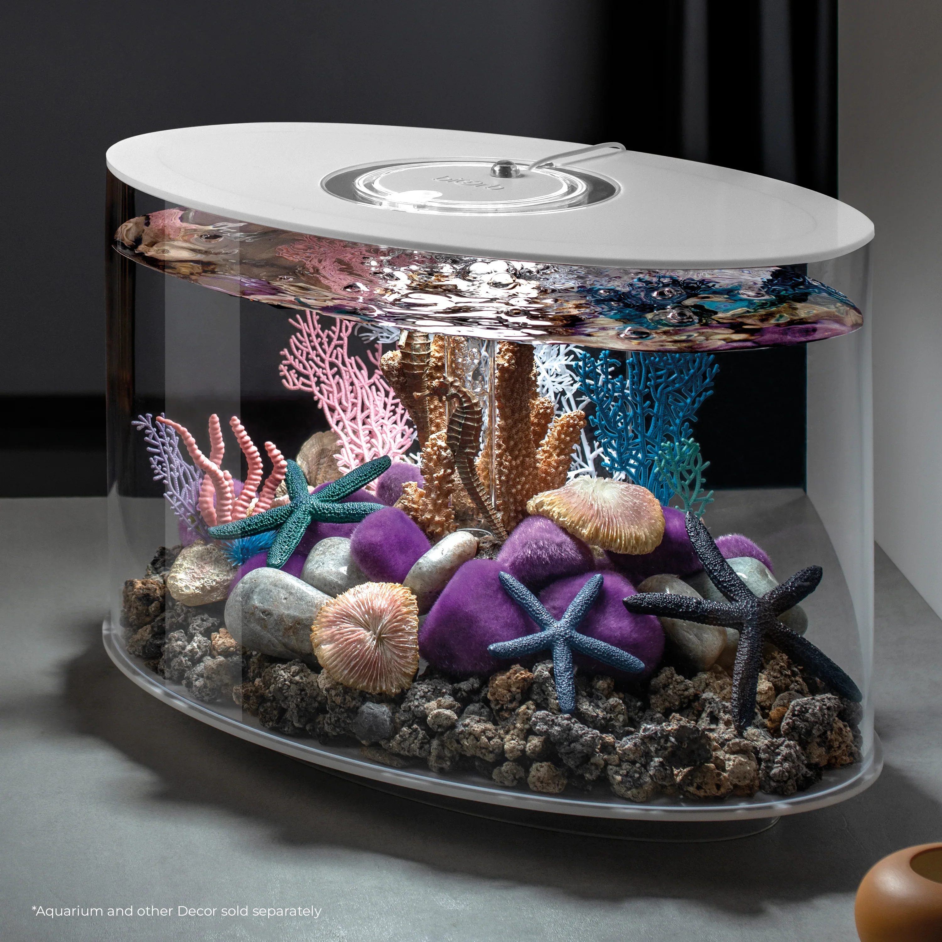 BiOrb coral fans & shells set - Image 8