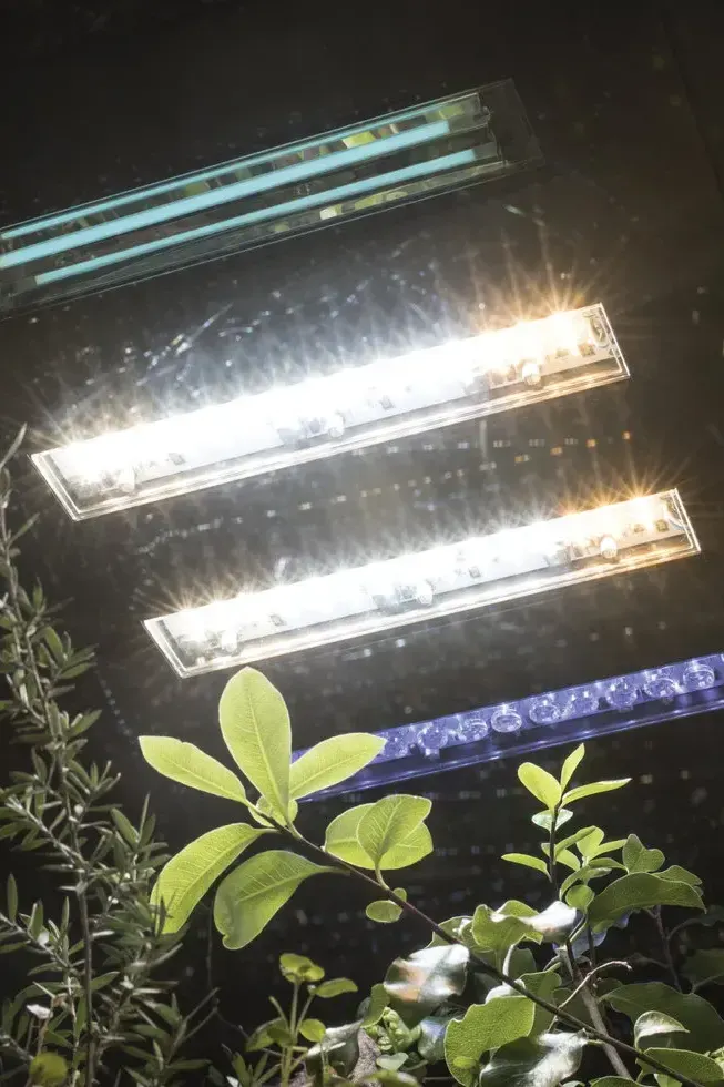 BiOrb Earth Vivarium - Image 13