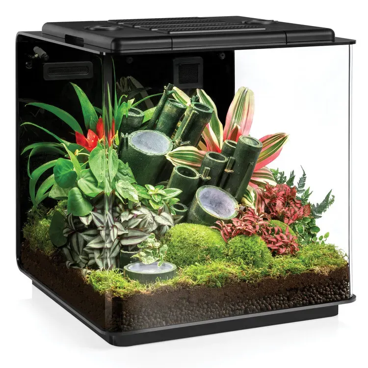 BiOrb Earth Vivarium - Image 3