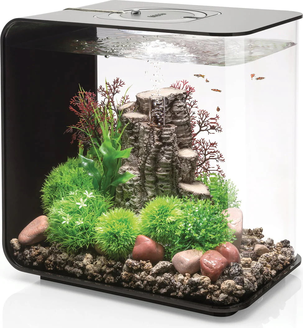 biOrb Flow Aquarium 30 Litre with Multi Colour LED Light-Remote Control Black - Image 3