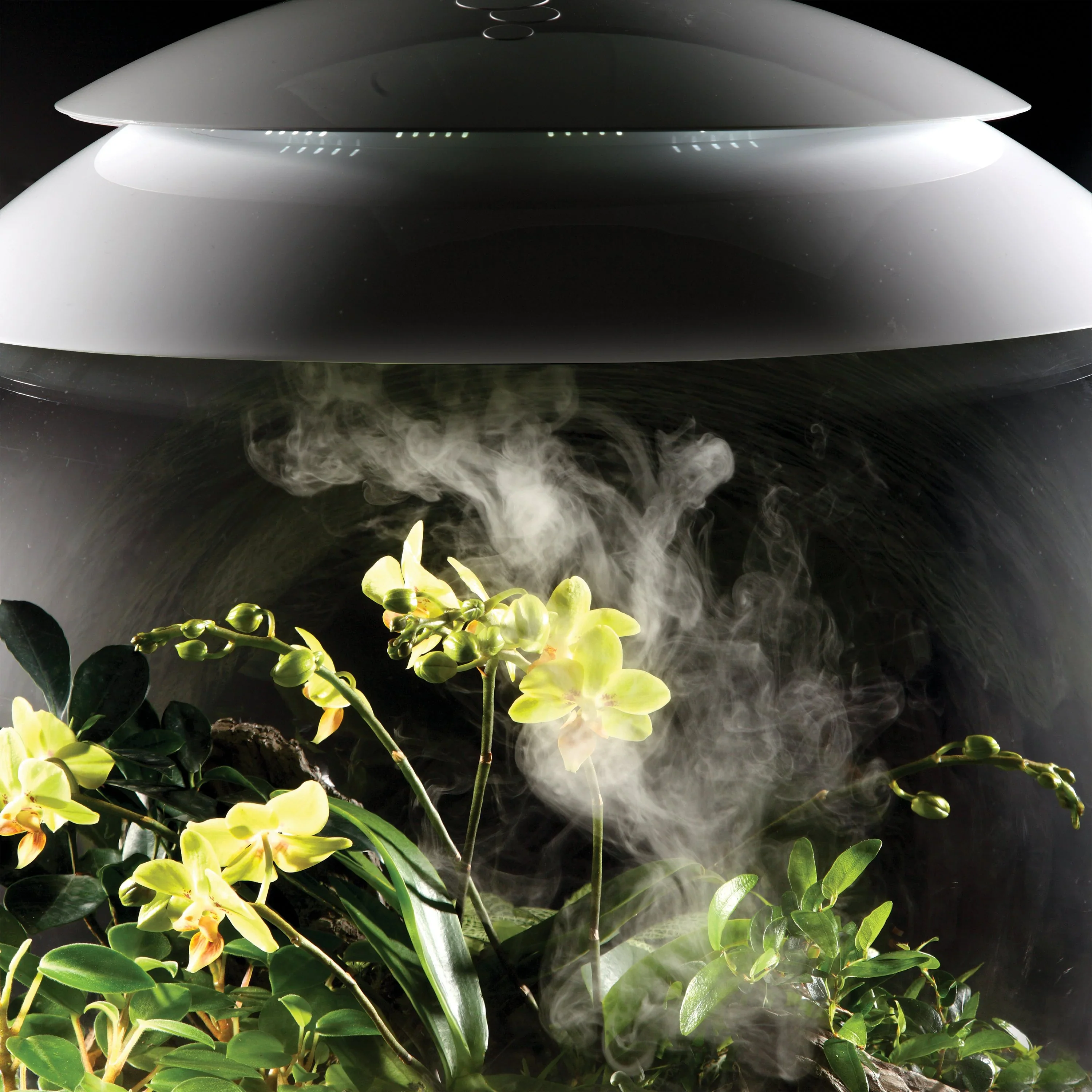 BiOrb Humidimist 5 Litre For Biorb Earth Vivarium - Image 2