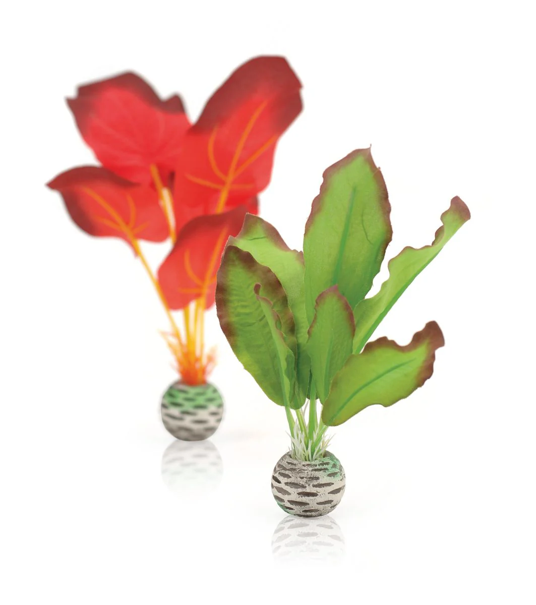 BiOrb Silk Plant Set Green & Red