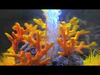 biOrb Tube Aquarium 30 Litre with Multi Colour LED Light-Remote Control Black - Image 4