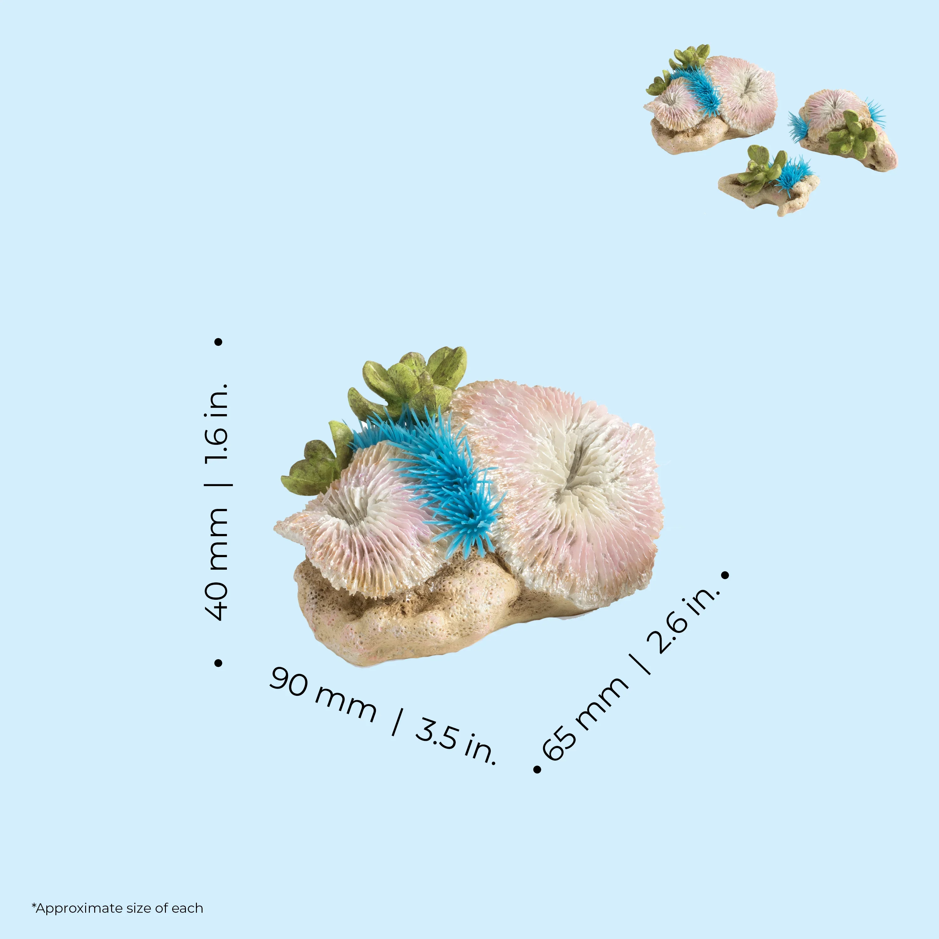 BiOrb Plate Corals & Button Polyps Set - Image 3