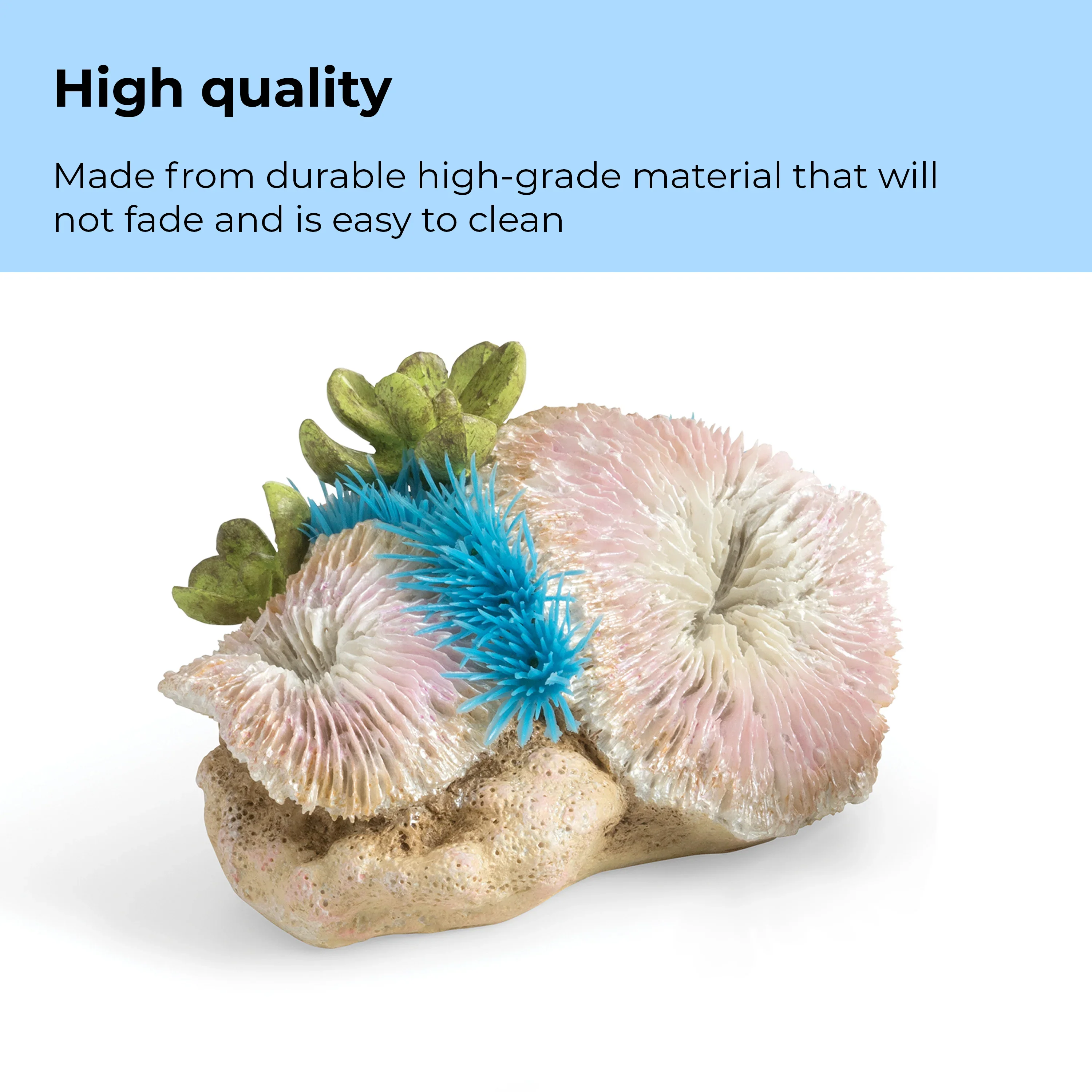 BiOrb Plate Corals & Button Polyps Set - Image 4