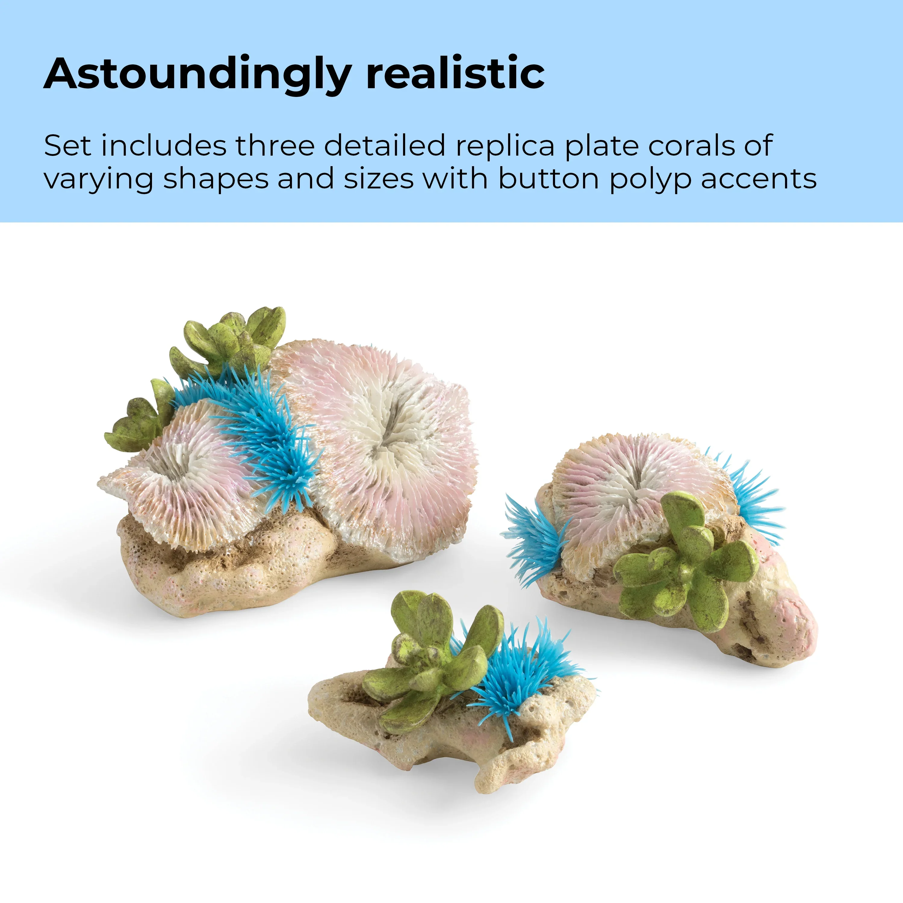 BiOrb Plate Corals & Button Polyps Set - Image 5