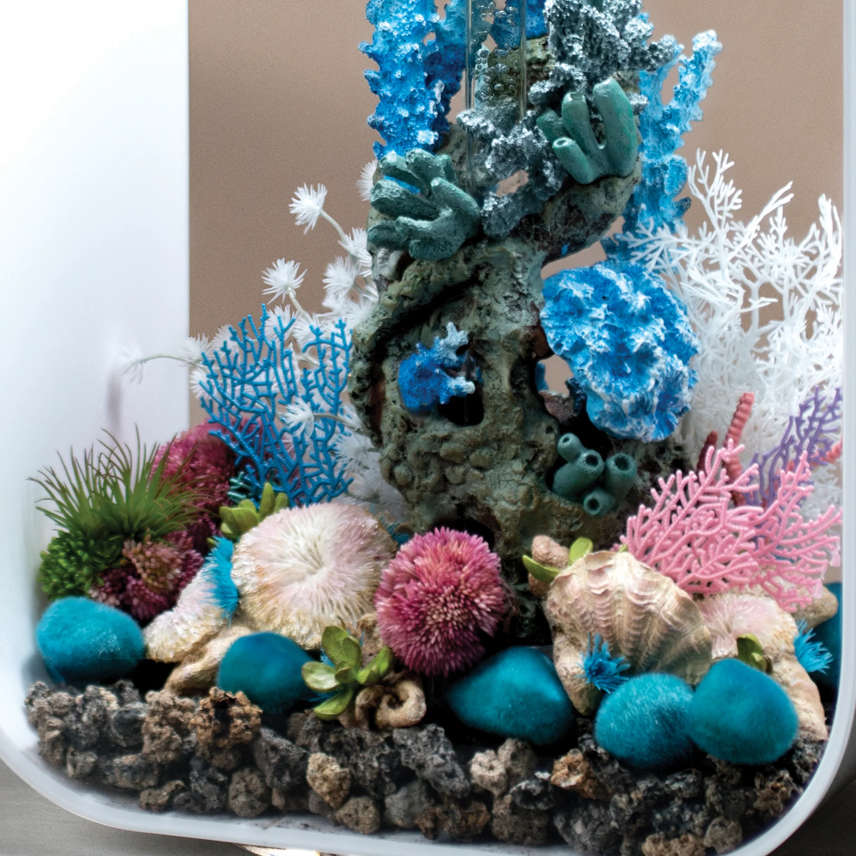 BiOrb Plate Corals & Button Polyps Set - Image 7