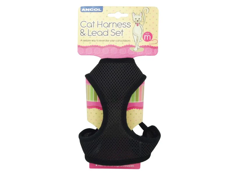 Black Cat Harness and lead