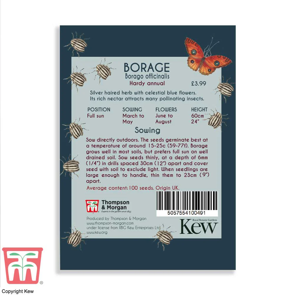 Borage - Kew Pollination Seed - Image 3
