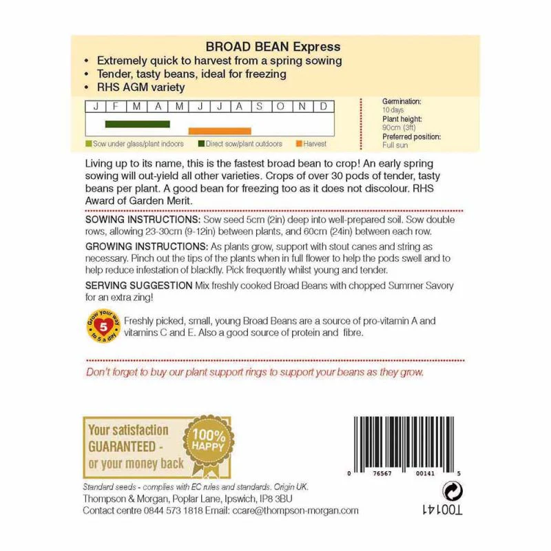 Broad Bean Express - Image 2