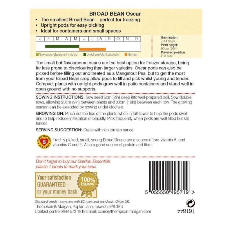 Broad Bean 'Oscar' - Image 2