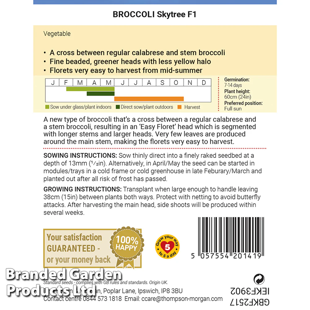 Broccoli (Easy Floret) 'Skytree' F1 - Image 2