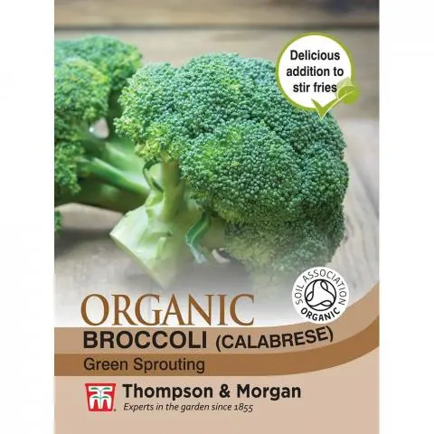 Broccoli Green Sprouting Organic
