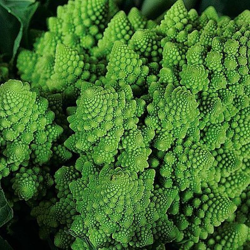 Broccoli 'Romanesco'