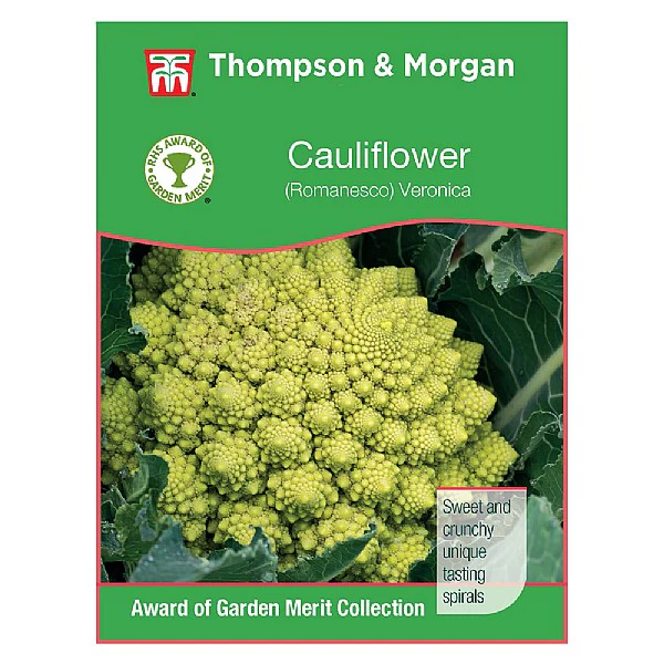 Broccoli 'Romanesco' - Image 2