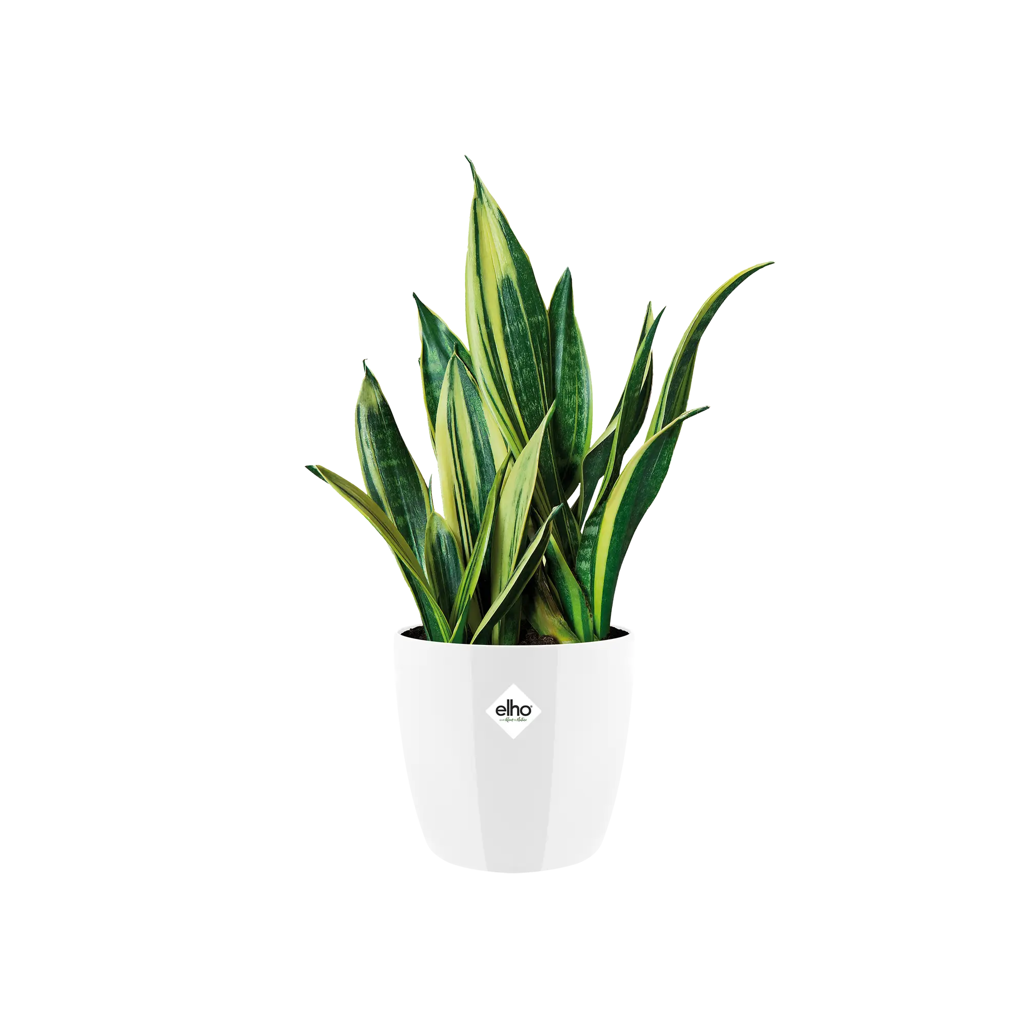 Elho Brussels Diamond Round White 16cm - Image 3