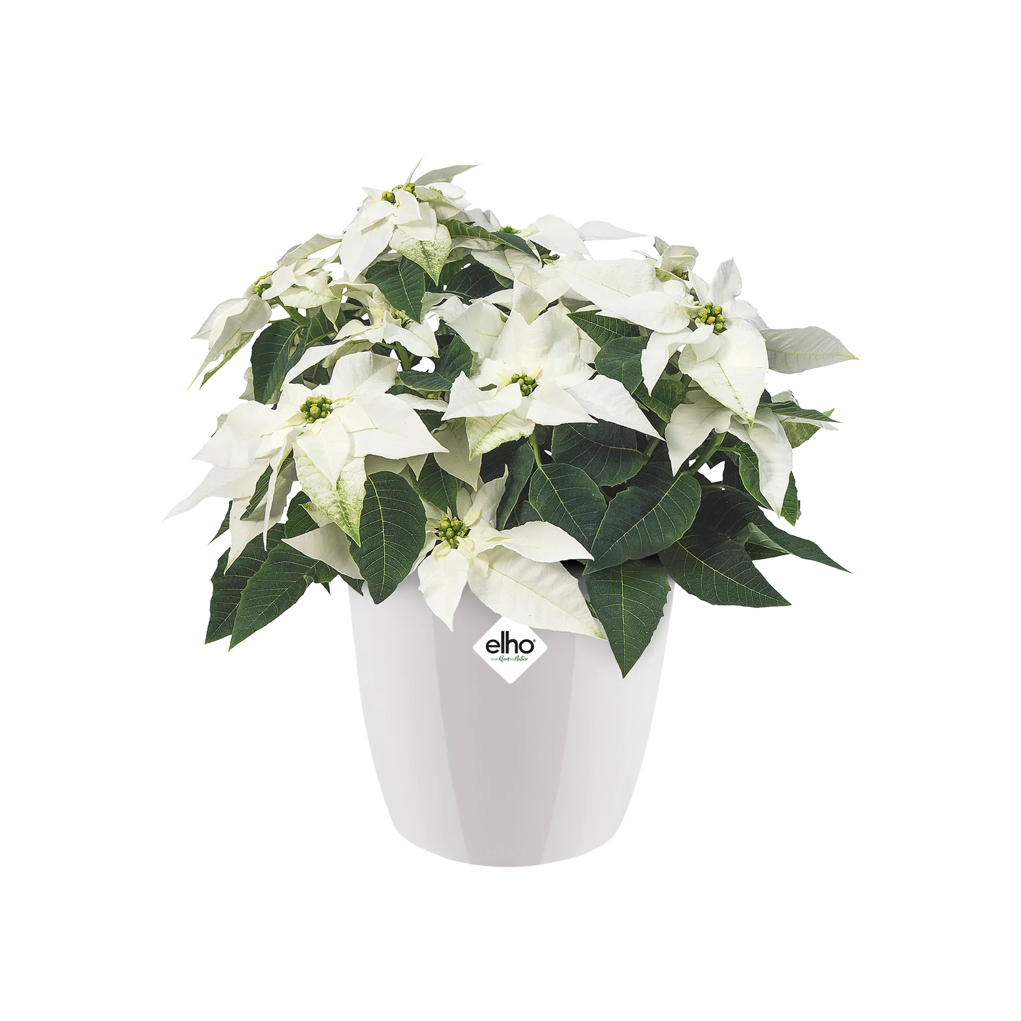 Elho Brussels Diamond Round White 16cm - Image 4