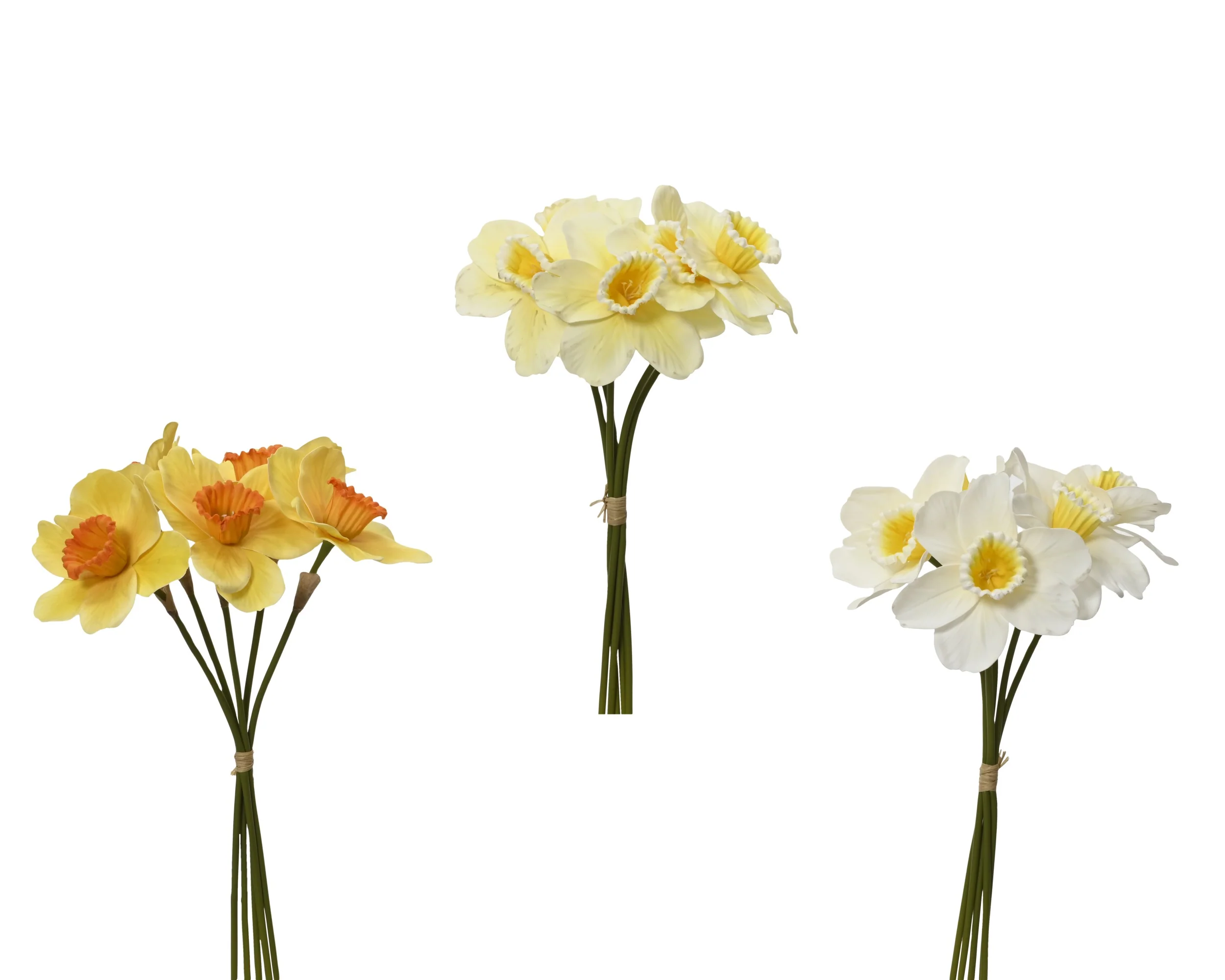 Bundle narcissus - sold separately - Image 2